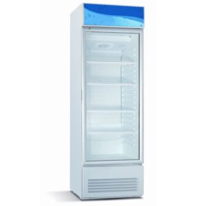 RANTONS 350 LITERS 1 DOOR SHOWCASE CHILLER- CF/203